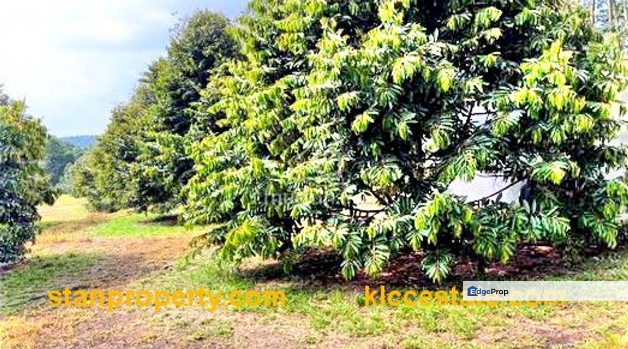 Broga Land, Selangor, Semenyih