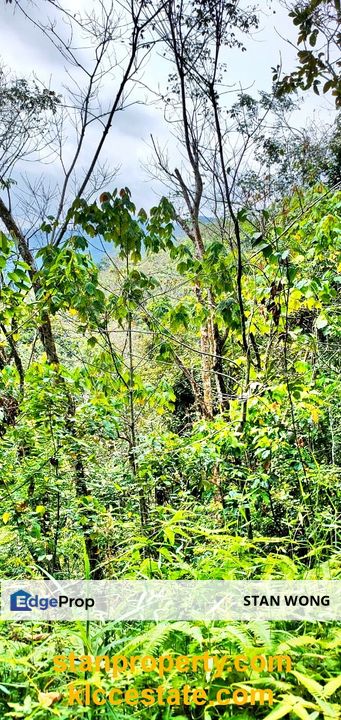 Bentong Land, Pahang, Bentong