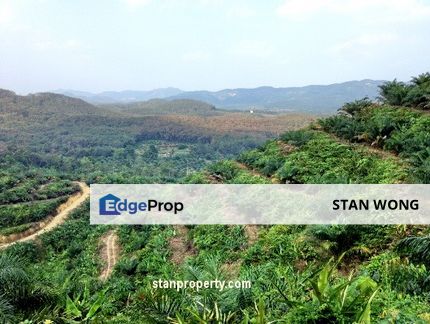 Jerantut Land, Pahang, Jerantut