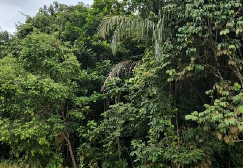Kampung Sungai Merab Luar