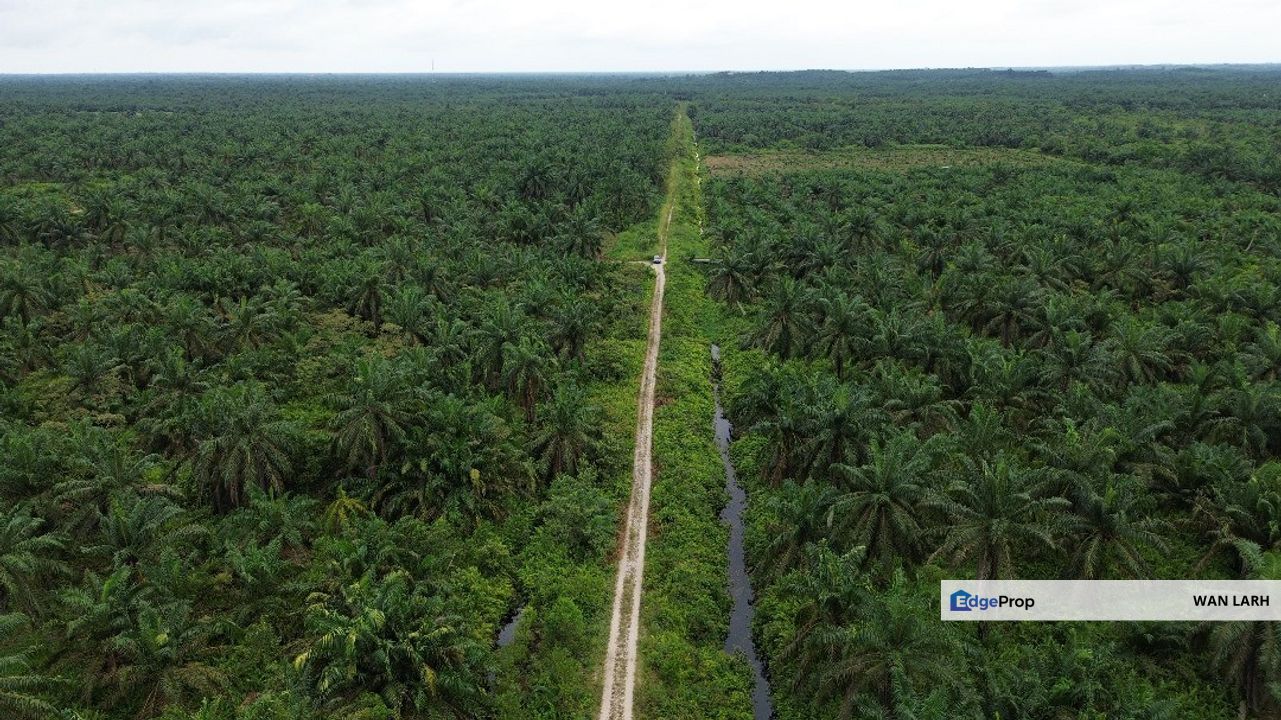 NEARBY SEDENAK IT CENTRE, Johor, Pontian