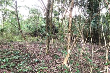 Kampung Sungai Tangkas