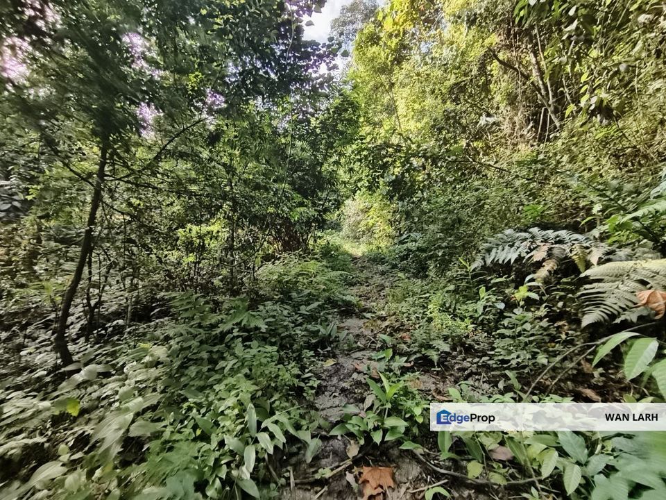 Tanah Pertanian Hulu Langat Batu 18 , Selangor, Hulu Langat