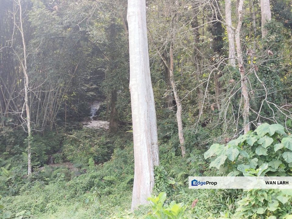 Tanah Pertanian Hulu Langat Batu 18 , Selangor, Hulu Langat
