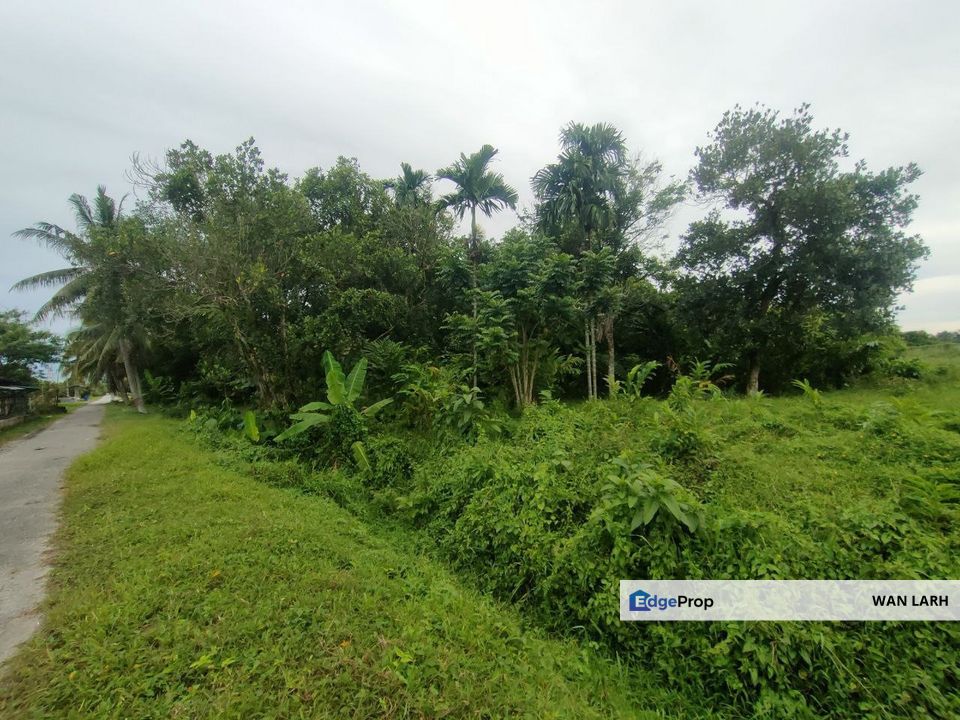 Tanah Pertanian Geran Individu Paya Jaras Sungai Buloh untuk dijual, Selangor, Sungai Buloh