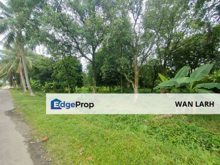 Tanah Pertanian Geran Individu Paya Jaras Sungai Buloh untuk dijual, Selangor, Sungai Buloh