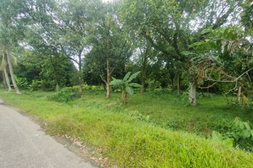 Kampung Paya Jaras