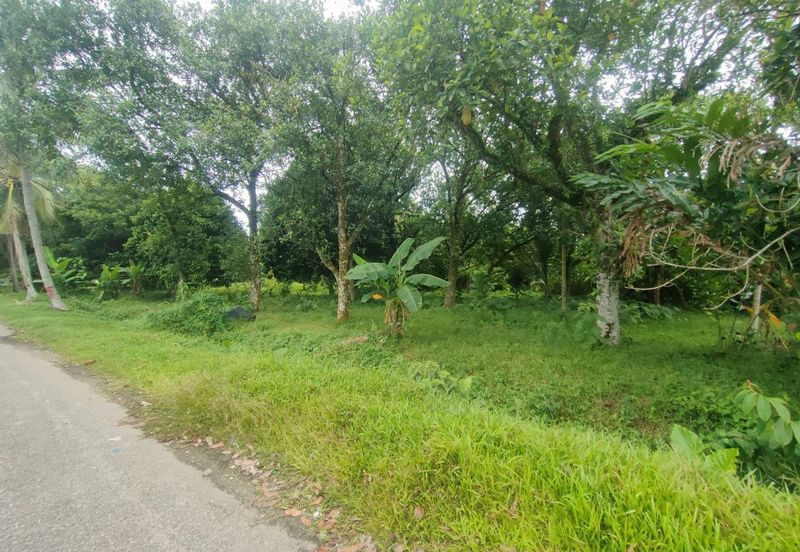 Kampung Paya Jaras