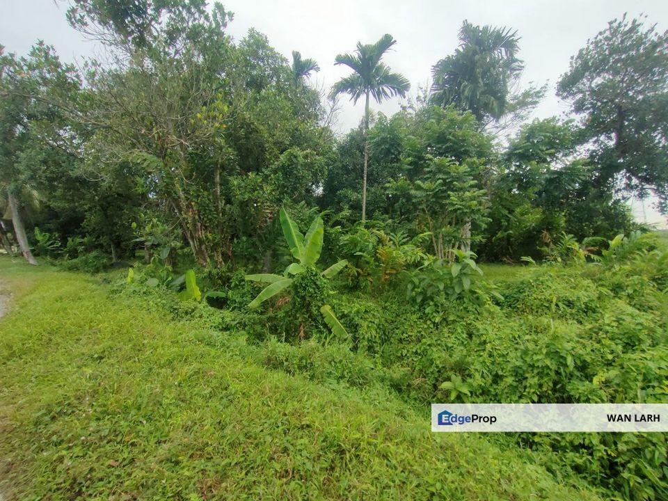 Tanah Pertanian Geran Individu Paya Jaras Sungai Buloh untuk dijual, Selangor, Sungai Buloh