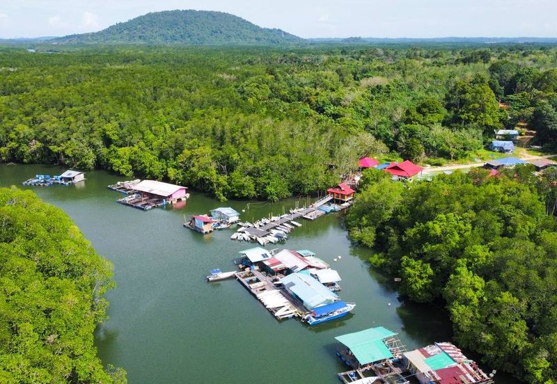 Sungai Cemaran, Tanjung Surat, Desaru