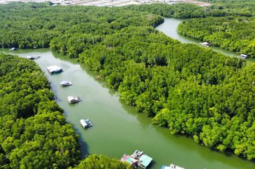 Sungai Cemaran, Tanjung Surat, Desaru