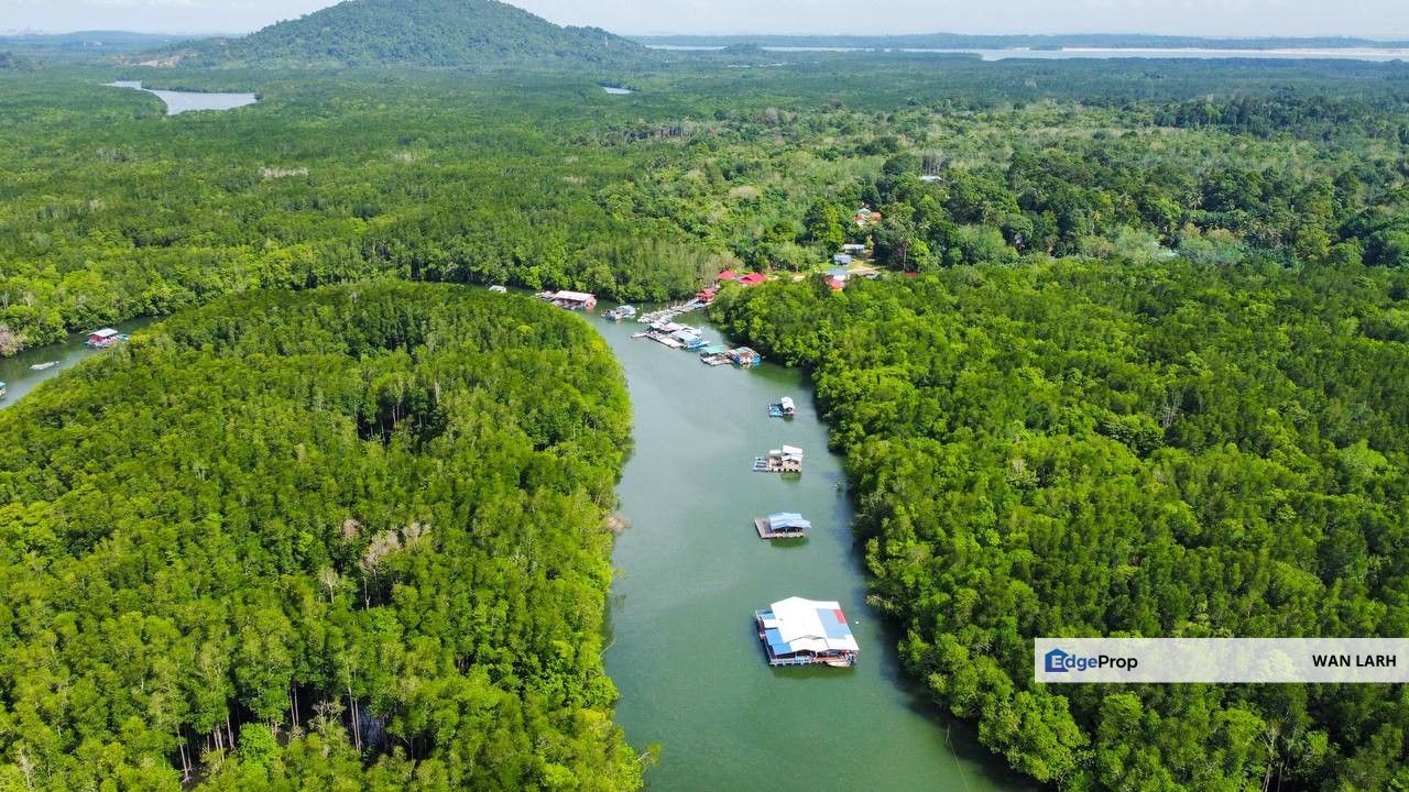 Massive Land Lot 200 acres in Tanjung Surat, Kota Tinggi, Johor, Kota Tinggi