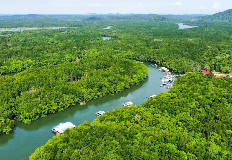 Sungai Cemaran, Tanjung Surat, Desaru