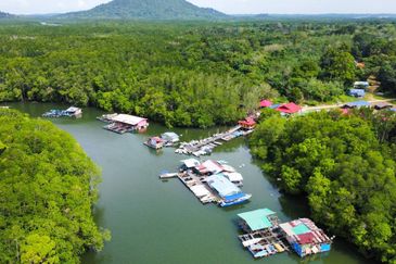 Sungai Cemaran, Tanjung Surat, Desaru