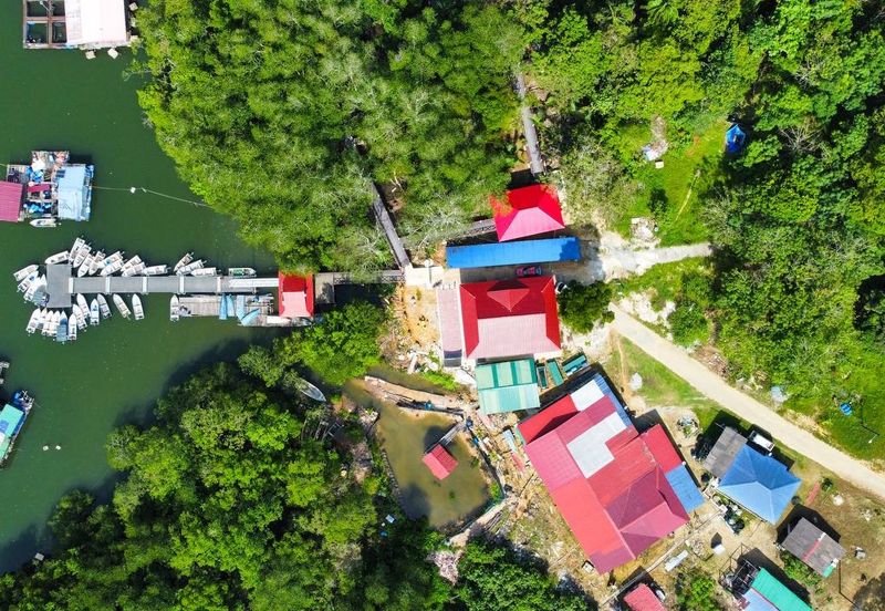 Sungai Cemaran, Tanjung Surat, Desaru