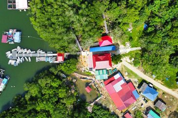 Sungai Cemaran, Tanjung Surat, Desaru