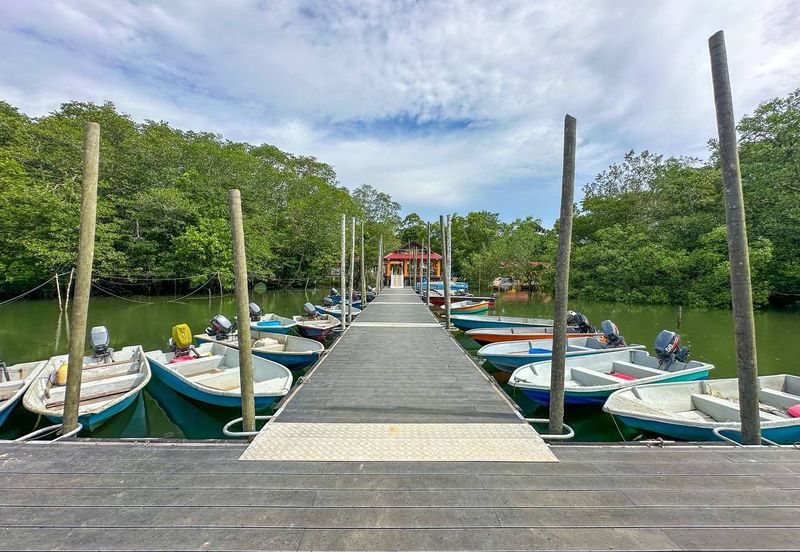 Sungai Cemaran, Tanjung Surat, Desaru