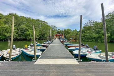 Sungai Cemaran, Tanjung Surat, Desaru