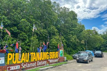 Sungai Cemaran, Tanjung Surat, Desaru