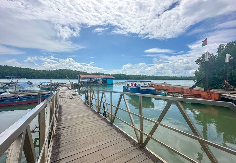 Sungai Cemaran, Tanjung Surat, Desaru
