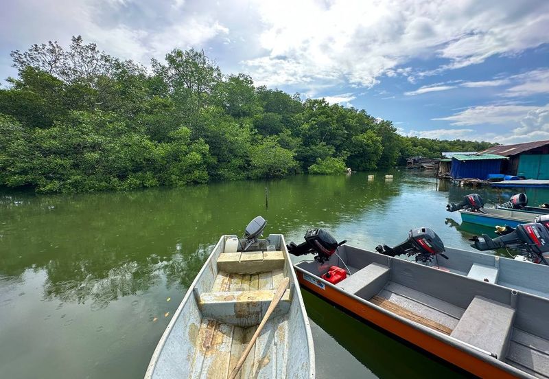 Sungai Cemaran, Tanjung Surat, Desaru