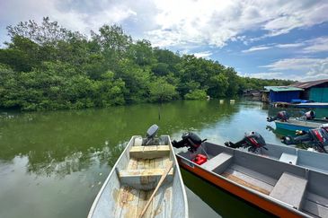 Sungai Cemaran, Tanjung Surat, Desaru