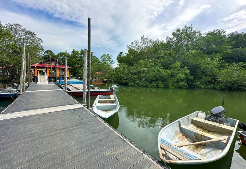 Sungai Cemaran, Tanjung Surat, Desaru