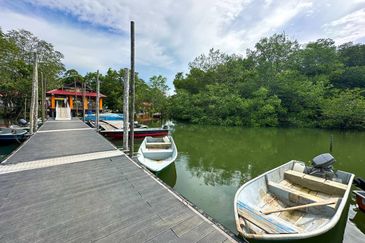 Sungai Cemaran, Tanjung Surat, Desaru