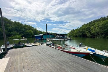 Sungai Cemaran, Tanjung Surat, Desaru