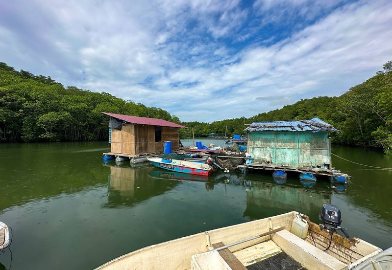 Sungai Cemaran, Tanjung Surat, Desaru