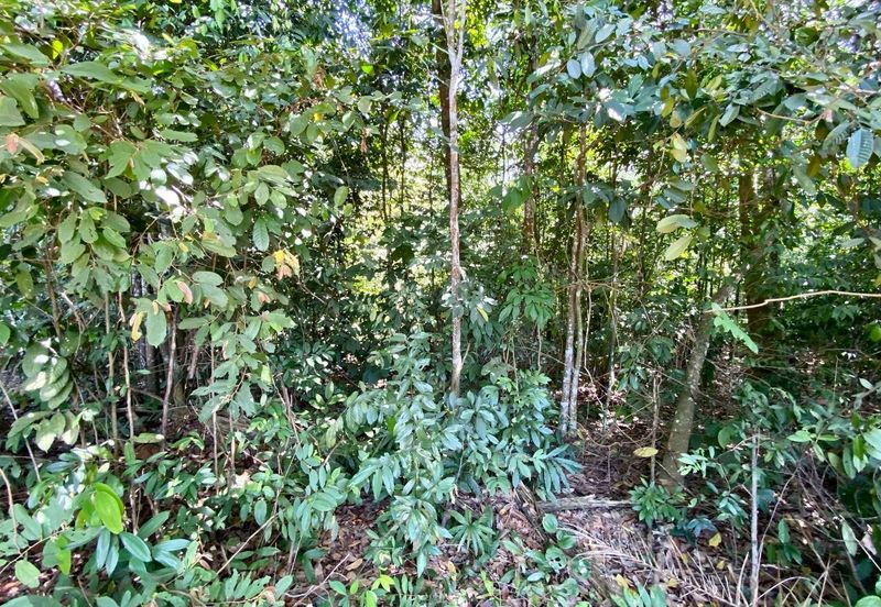 Kampung Sungai Merab Luar