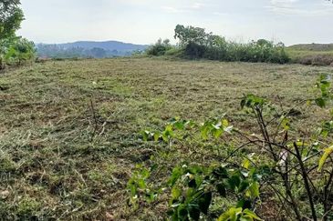 Bandar Country Homes