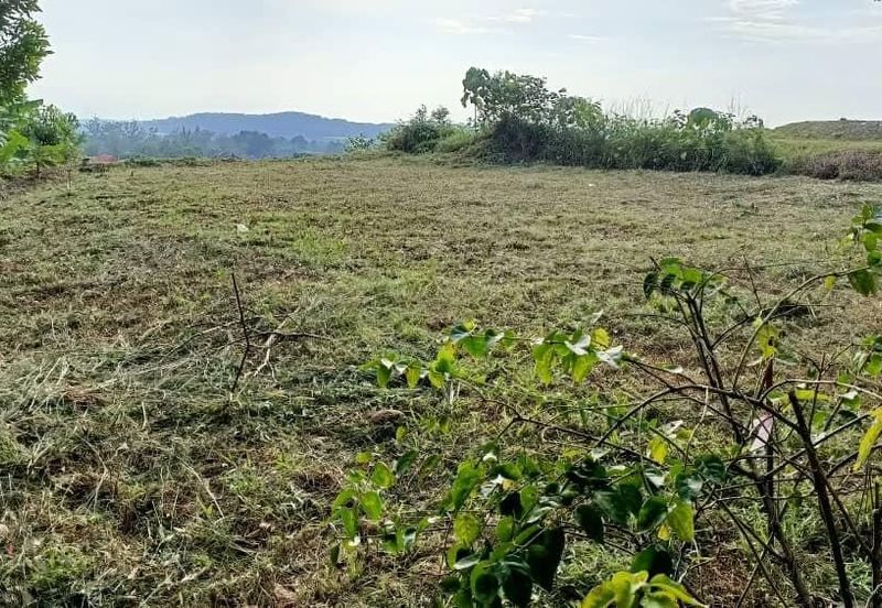 Bandar Country Homes