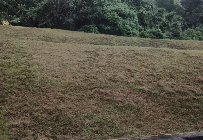 The Peak @ Taman TAR