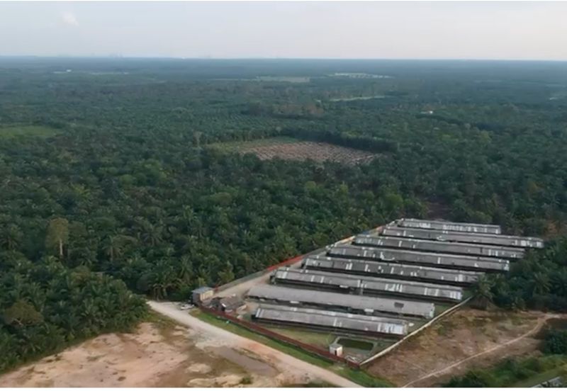 Pekan Nanas JB Industrial land for Sale 