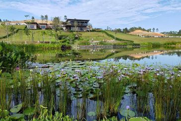 Anyara Hills, Sungai Long East