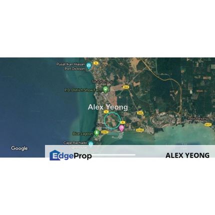 Port Dickson Land Agarwood Matured Trees, Negeri Sembilan, Port Dickson