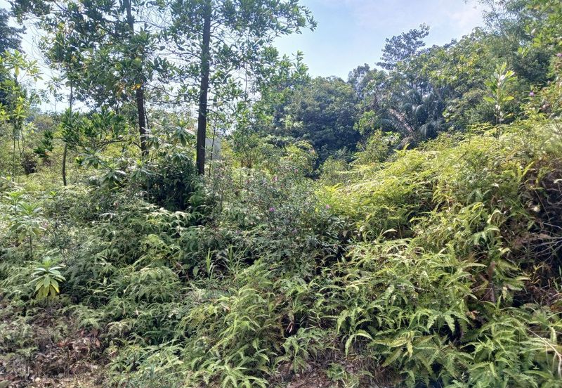 JALAN PUNCAK ALAM JAYA