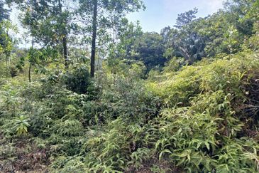 JALAN PUNCAK ALAM JAYA