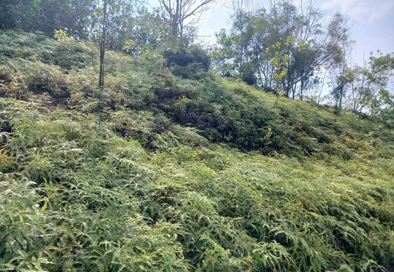 JALAN PUNCAK ALAM JAYA