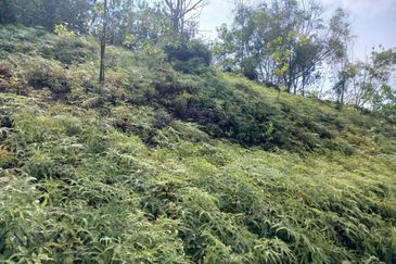 JALAN PUNCAK ALAM JAYA