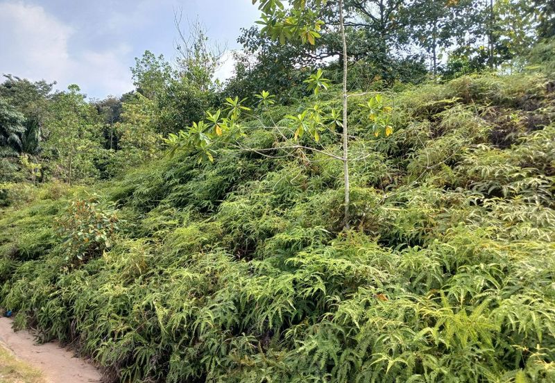 JALAN PUNCAK ALAM JAYA