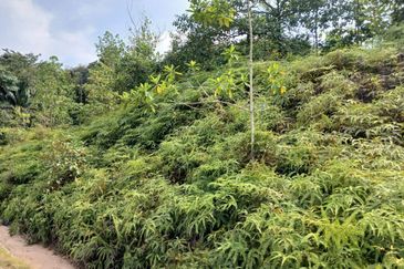 JALAN PUNCAK ALAM JAYA