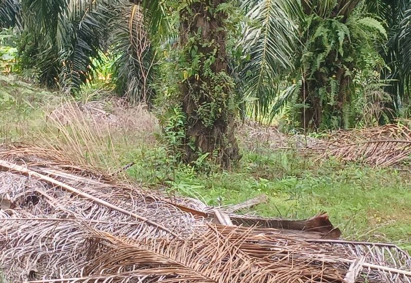 JALAN PUNCAK ALAM JAYA