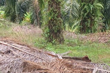 JALAN PUNCAK ALAM JAYA