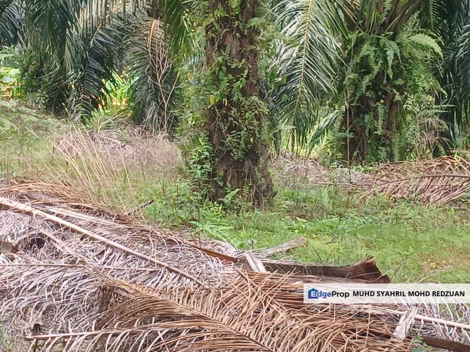 Tanah di Jalan Puncak Alam - Bukit Cherakah untuk di Jual, Selangor, Bandar Puncak Alam