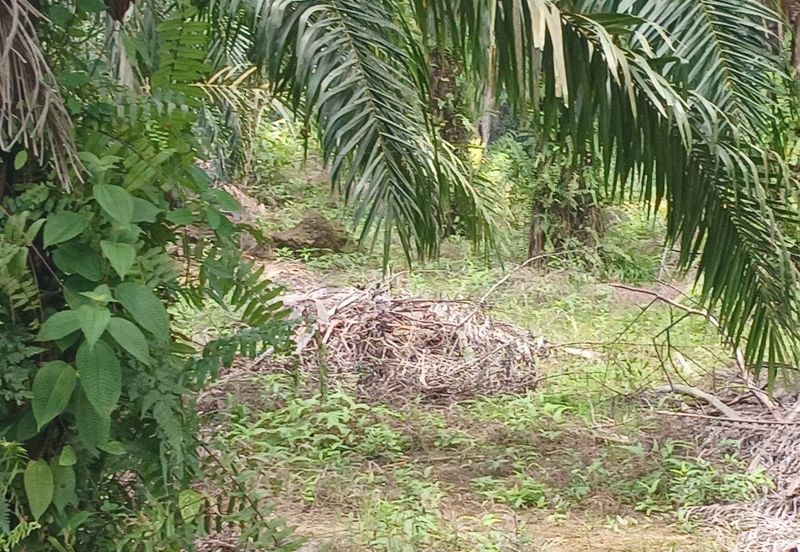 JALAN PUNCAK ALAM JAYA