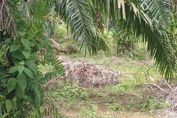 JALAN PUNCAK ALAM JAYA