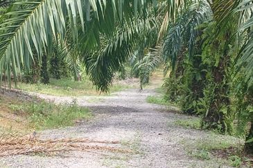 JALAN PUNCAK ALAM JAYA