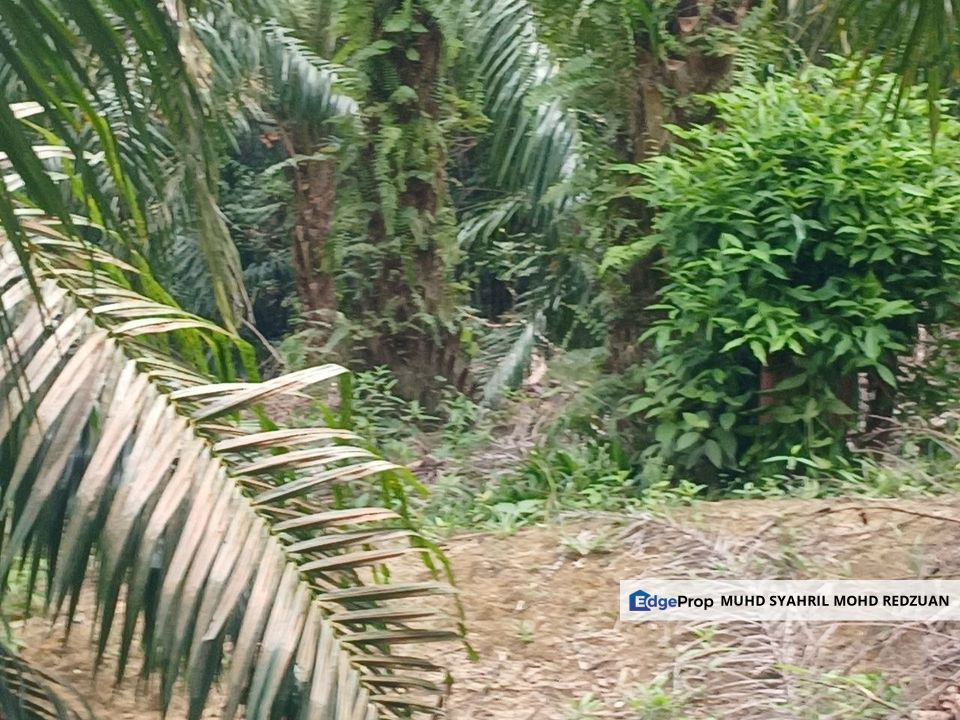 Tanah di Jalan Puncak Alam - Bukit Cherakah untuk di Jual, Selangor, Bandar Puncak Alam